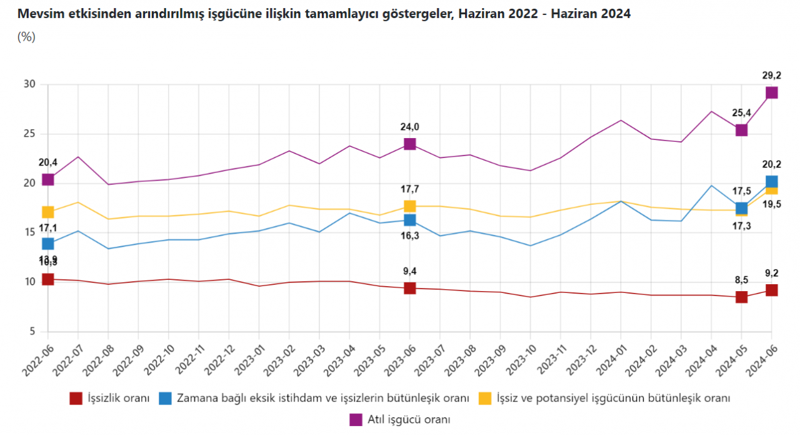 İşsizlik rakamları açıklandı - Resim : 4