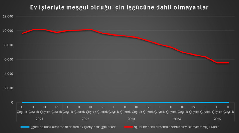 Türkiye’de doğum hızı alarm veriyor: Kadınlar yük altında! - Resim : 5