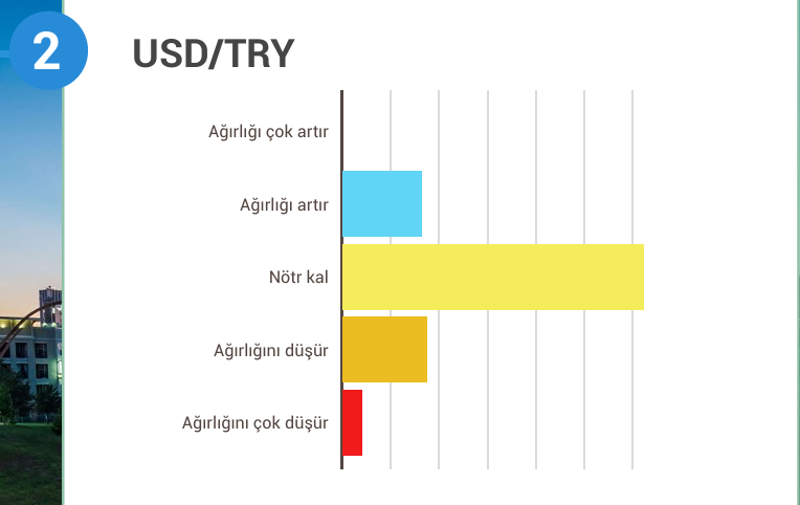 Piyasa profesyonelleri hisse senedine dönüyor - Resim : 2