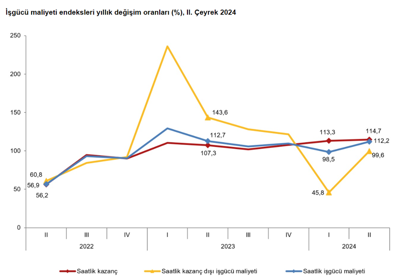 TÜİK istihdam endeksi açıklandı: Maaşlar ve çalışma saatleri nasıl değişti? - Resim : 3