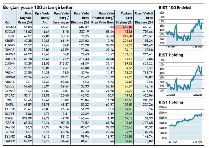 Toplam borcunu 7’ye katlayan bir şirket var - Resim : 2