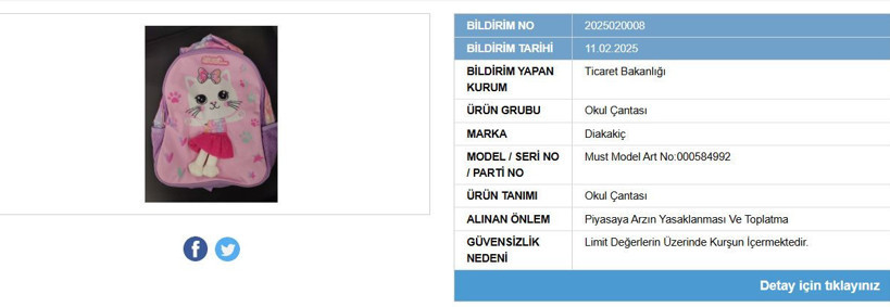 Ticaret Bakanlığı duyurdu: Bu çantanın satışı yasaklandı - Resim : 1