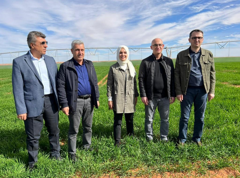 Türk şirket, Sahra Çölü'nde tarıma başladı - Resim : 1
