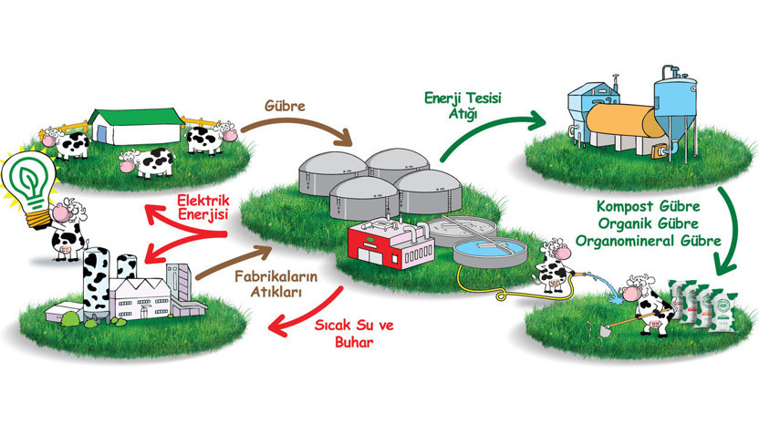 Sütaş, “Çiftlikten Sofralara” iş modeli ile AB Yeşil Mutabakata hazır - Resim : 2