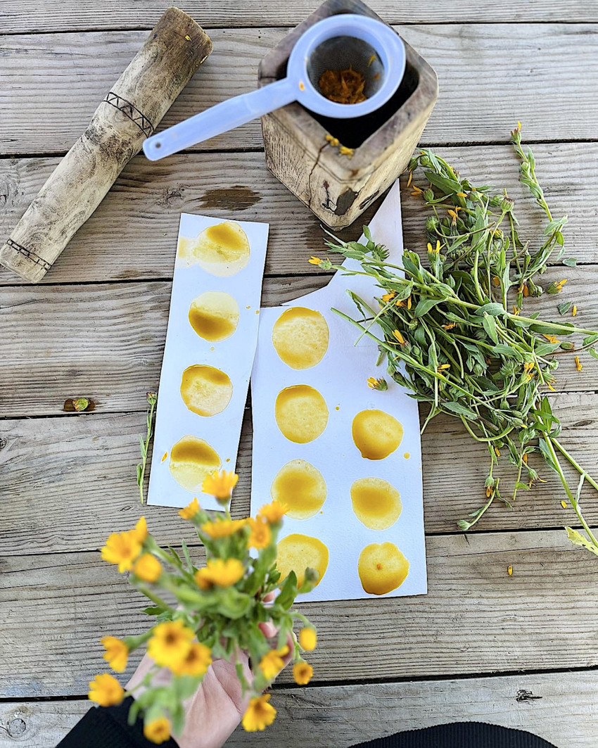 “Yeryüzü Halleri”nden sonra “Yeryüzü Renkleri” de sergileniyor - Resim : 2