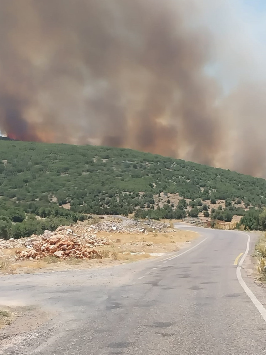 Türkiye'nin dört bir yanında yangın çıktı! İşte dakika dakika yaşananlar - Resim : 25
