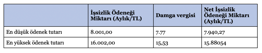 İşsizlik sigortasında bu alanlarda iyileştirme yapılması gerekiyor - Resim : 1