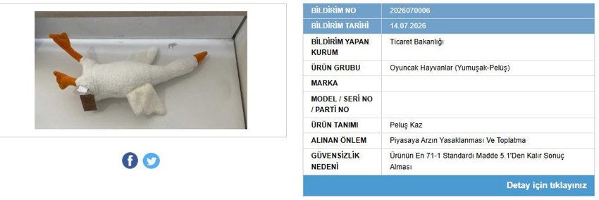 Bakanlık ifşa etti: Bir oyuncağın satışı yasaklandı, piyasadan toplatılıyor - Resim : 1