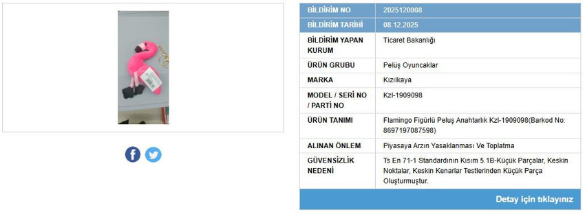 Bakanlık ifşa etti: Bir oyuncağın satışı yasaklandı, piyasadan toplatılıyor - Resim : 1