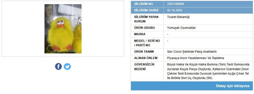 Liste güncellendi: Bakanlık bir pelüş anahtarlığın satışını yasakladı - Resim : 1