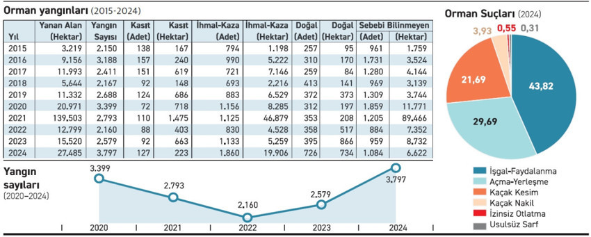 Orman yangınları, felaketler geçici değil - Resim : 1