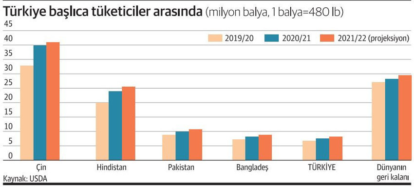 Pamukta ürküten iklim senaryosu - Resim : 2