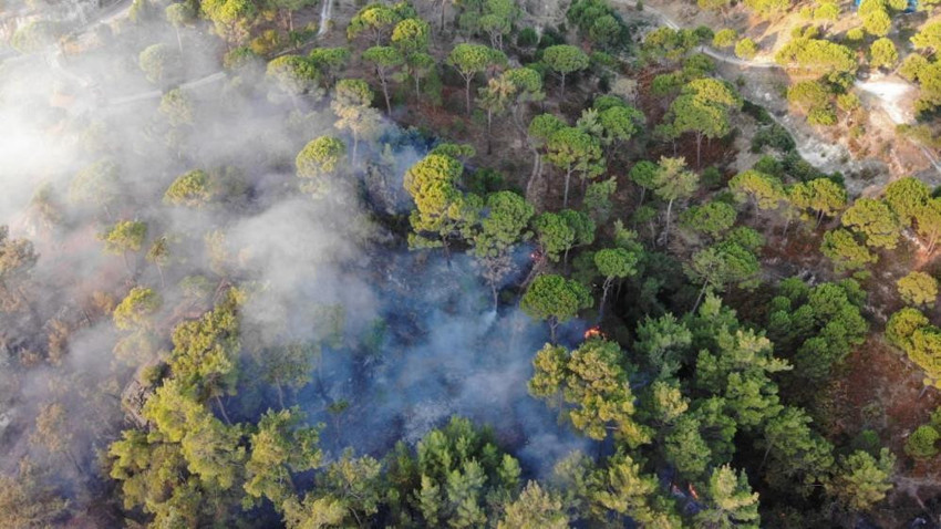Aydın'ın Bozdoğan ilçesinde dün çıkan büyük yangın sürüyor: Her şey küle döndü - Resim : 1