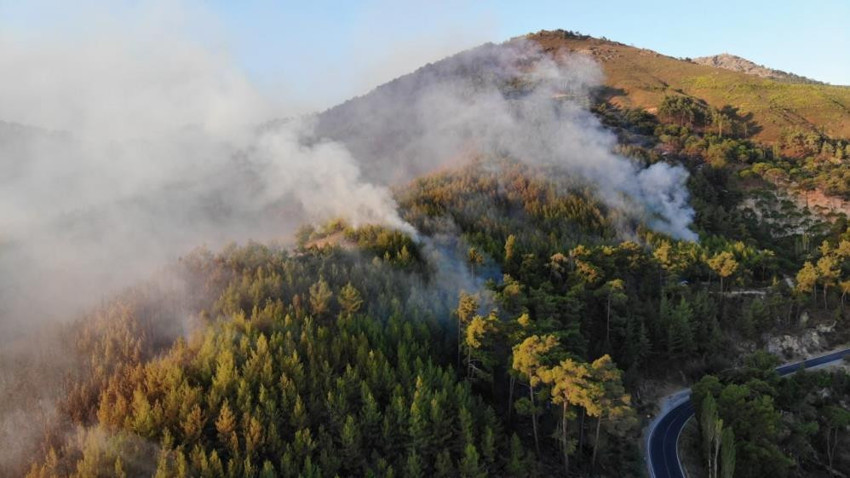 Aydın'ın Bozdoğan ilçesinde dün çıkan büyük yangın sürüyor: Her şey küle döndü - Resim : 2