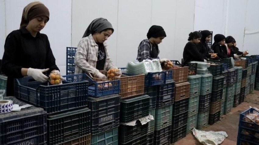 Depremzede girişimcilere can suyu! Yatırımlar için 200 milyon liralık destek verildi