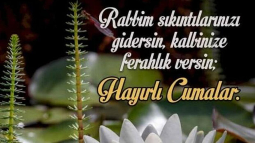 Cuma mesajları 2024 | Sade, havalı, komik, yazılı, anlamlı, dualı, hadisli ve resimli cuma mesajları - Resim : 9