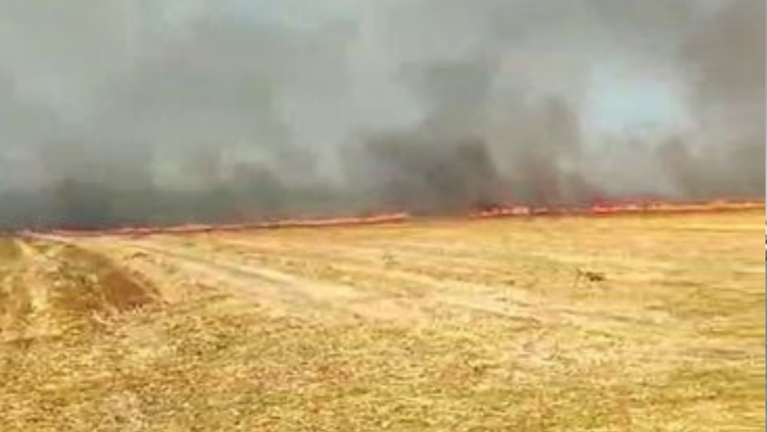 Silivri'de panik: Yangın evlere yaklaştı, uzaklaşmak isteyen araçlar kaza yaptı - Resim : 1