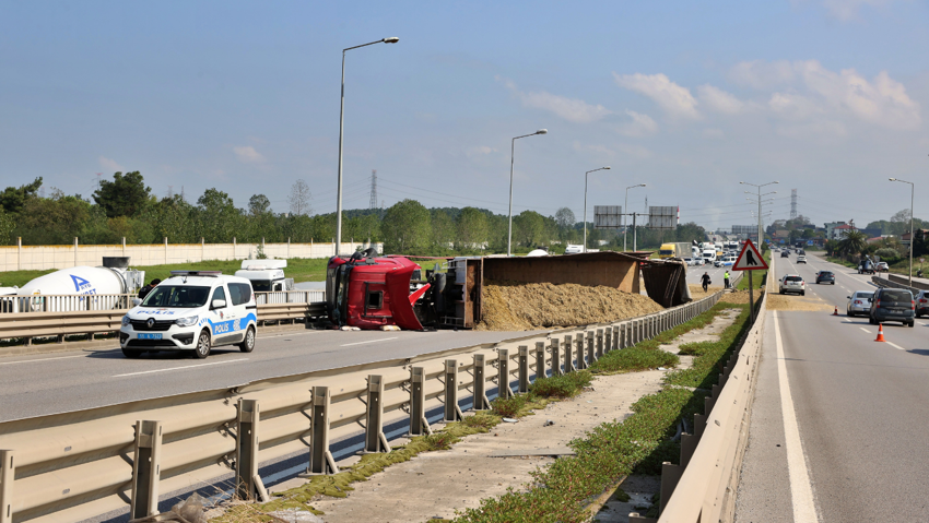 Samsun'da sıradışı kaza: Şoforü arı soktu, TIR'ı devirdi - Resim : 1