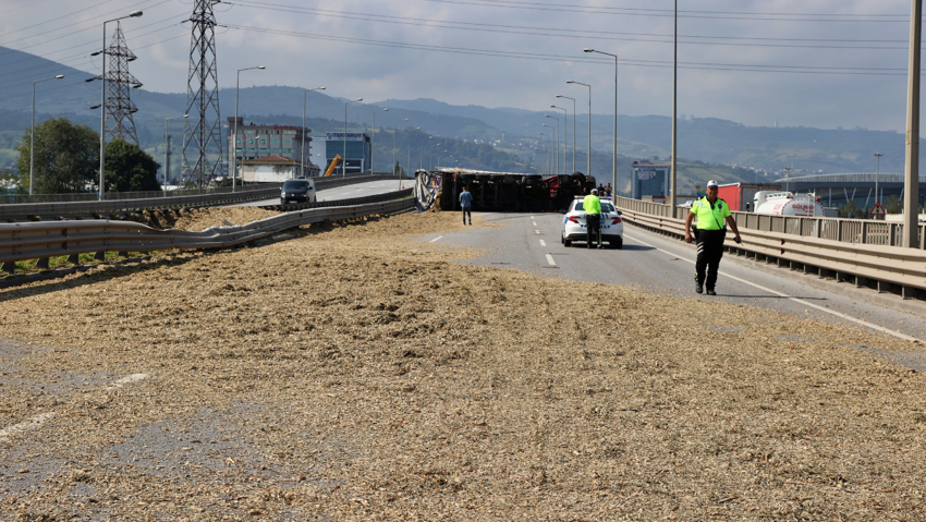 Samsun'da sıradışı kaza: Şoforü arı soktu, TIR'ı devirdi - Resim : 2