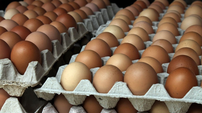 Yumurtaya zam geldi! Koli fiyatı cep yakıyor - Resim : 1