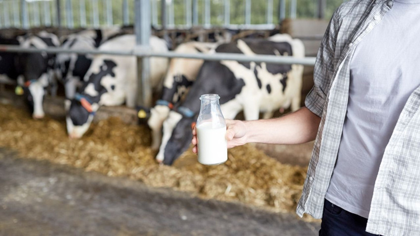 Yumurta fiyatları artmaya devam ediyor! Sırada süt olabilir - Resim : 3