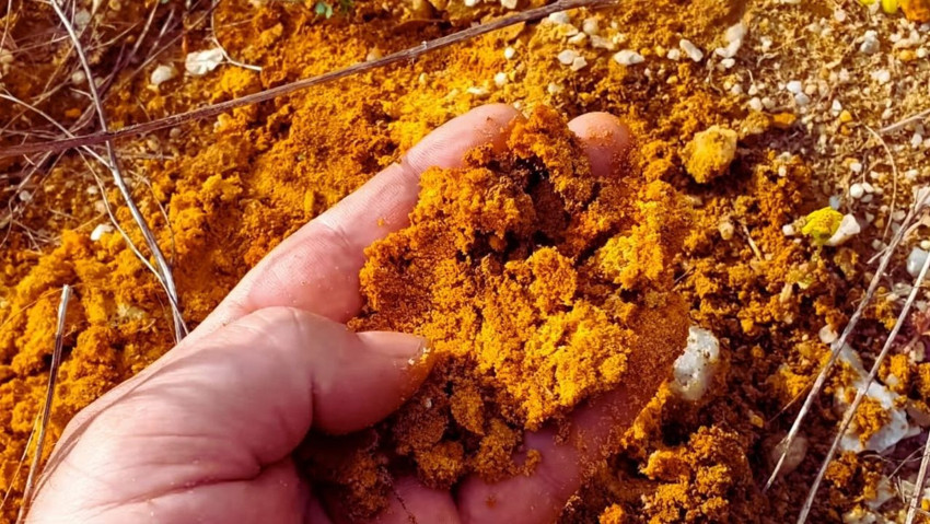 Çiftçinin bahçesinde 150 ton altın çıktı! Değeri 4 milyar Euro olarak tahmin ediliyor - Resim : 1