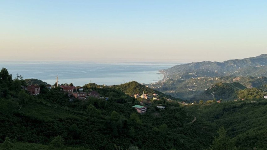 Giresun’un yeşil şöleni - Resim : 1