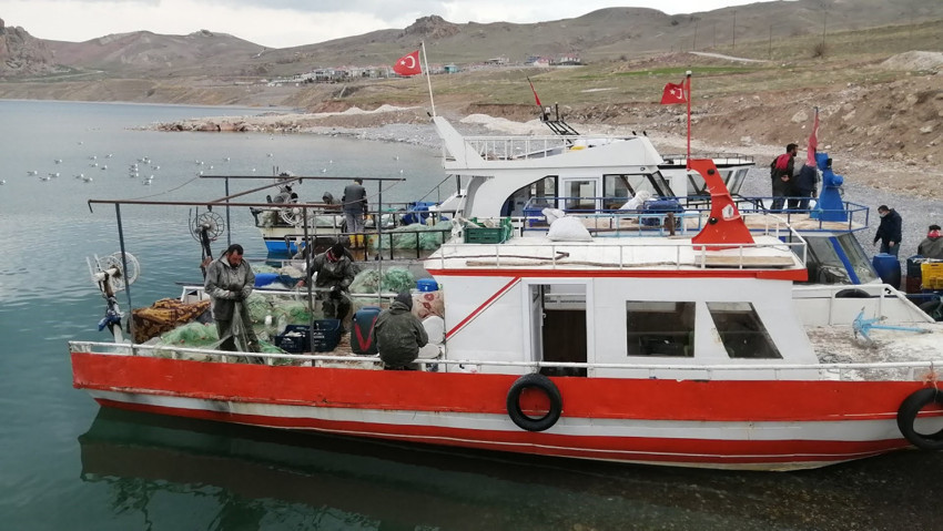İnci kefali av yasağı bitiyor! Balıkçılar 'Vira bismillah' diyecek - Resim : 2