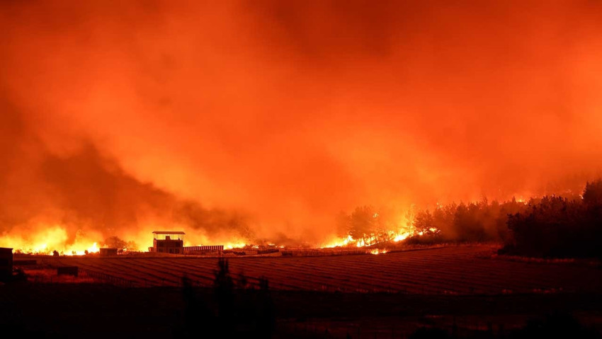 Türkiye'de orman yangınlarına karşı yeteri kadar uçak var mı? - Resim : 4