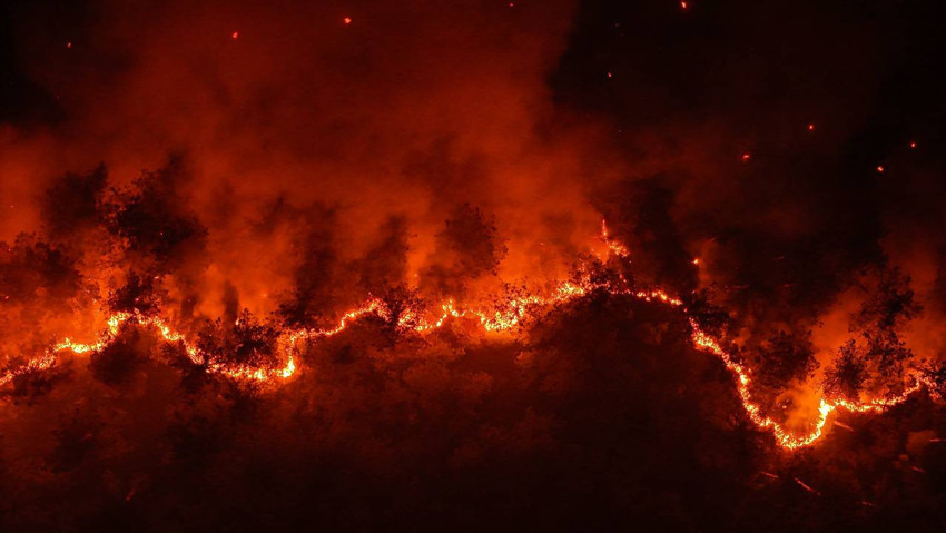 Brände in 3 Provinzen unter Kontrolle: Karabük und Bursa brennen - Bild: 3
