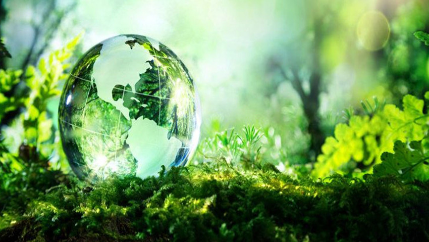 Net sıfırın anahtarı: Karbon fiyatı - Resim : 2