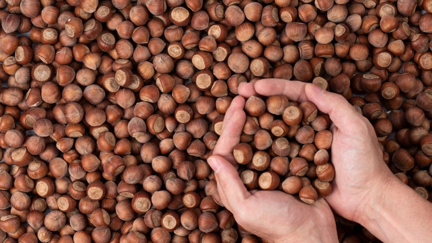 Markette 36 ürünün 29'u zamlandı! Patateste fiyat farkı yüzde 335’i aştı - Resim : 3