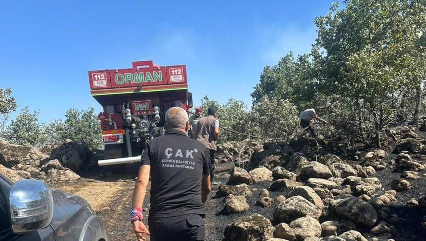 Diyarbakır'da orman yangını: Havadan ve karadan müdahale! - Resim : 2