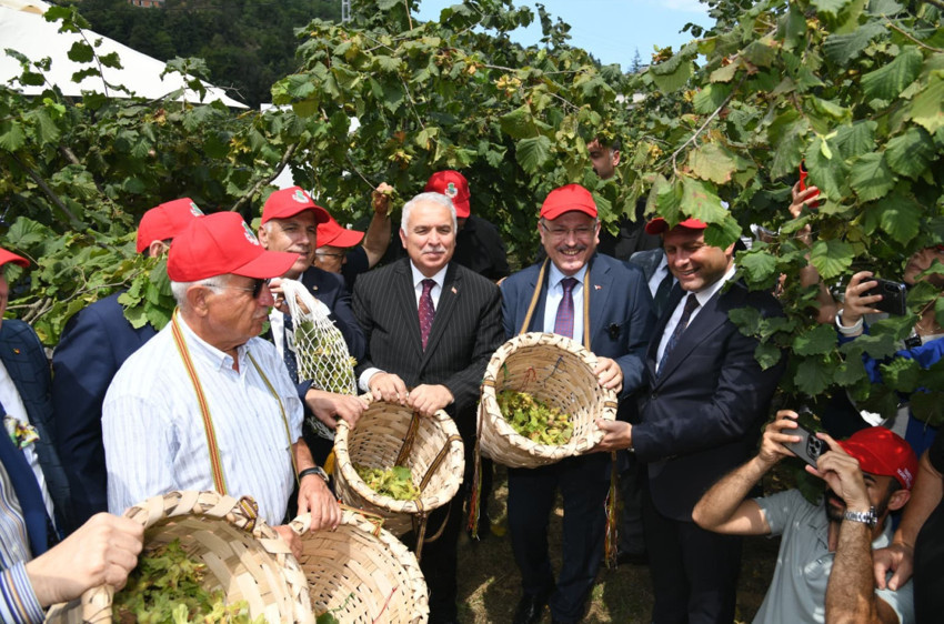 Fındıkta, 5 milyar dolar ihracat geliri hedefleniyor - Resim : 1