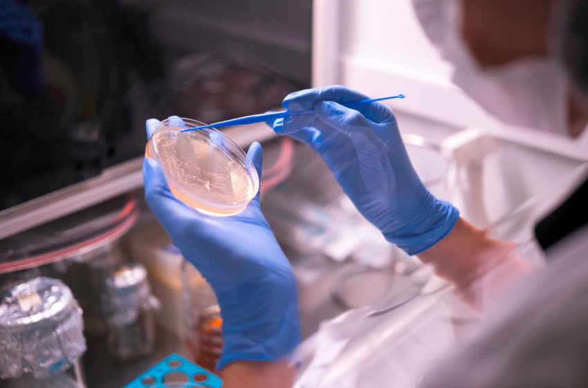 Orzaks’ın üretim gücü Nuvita İlaç, Ar-Ge yatırımıyla Türkiye’nin ilk 250 firması arasında - Resim : 1