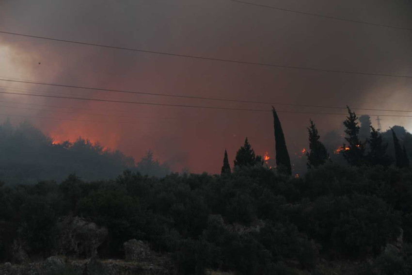 Aydın'daki orman yangınına müdahale sürüyor - Resim : 1