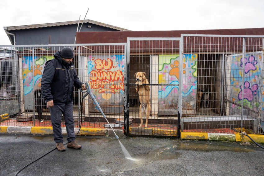 120 bin girişimci kadını e-ticaretle tanıştırma hedefi - Resim : 5