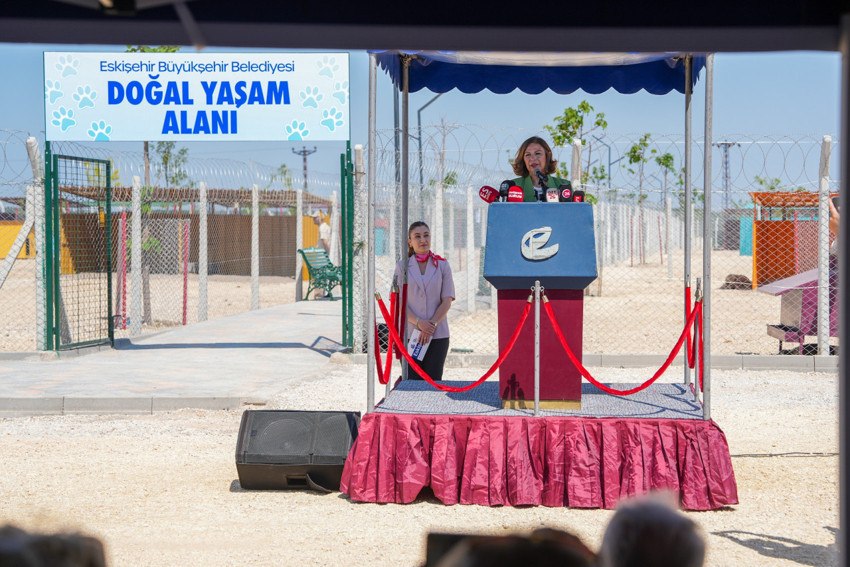 Ünlüce “şefkatle yaptık, sevgiyle yaşatacağız” - Resim : 1