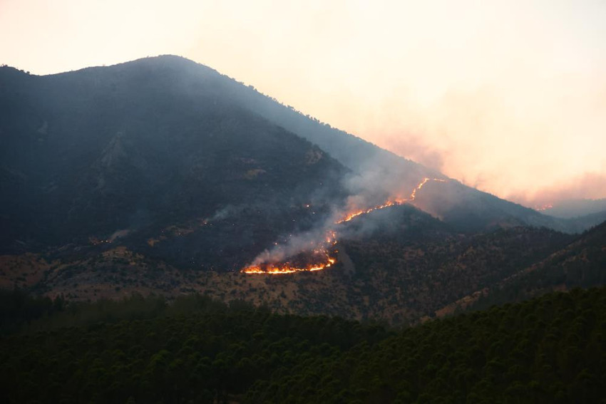 Türkiye'nin dört bir yanında yangın çıktı! İşte dakika dakika yaşananlar - Resim : 36
