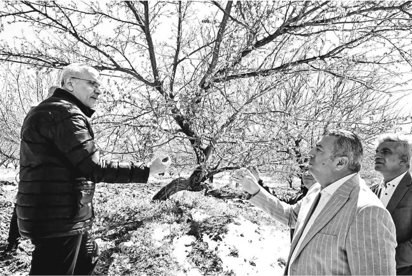 Don, Malatya&rsquo;da kayısıyı &lsquo;sıfır&rsquo;a indirdi, zararımız  500 milyon doları bulur - Resim : 4