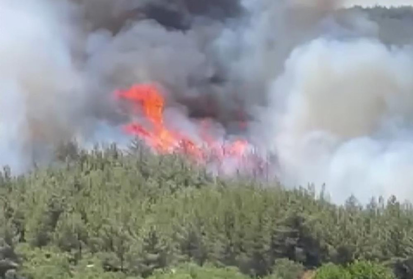 Türkiye'nin dört bir yanında yangın çıktı! İşte dakika dakika yaşananlar - Resim : 31
