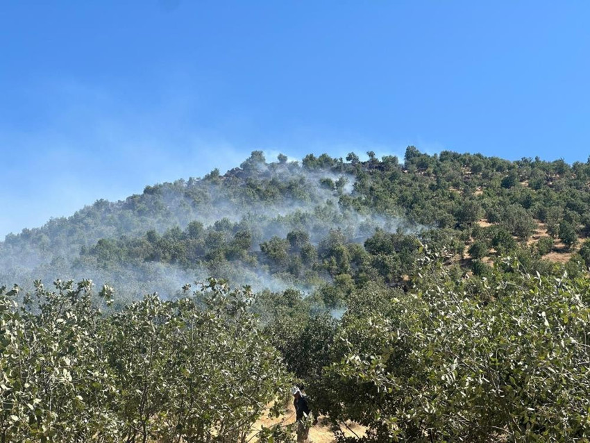 Diyarbakır'da orman yangını: Havadan ve karadan müdahale! - Resim : 1