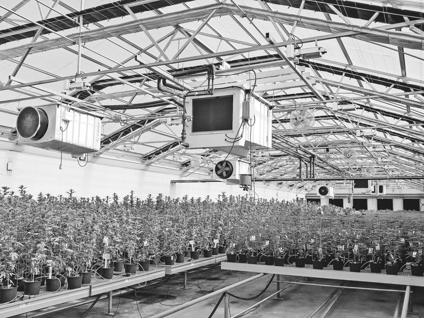 Örtülü tarıma havadan su ve enerji üreten Türk Dragon! - Resim : 2