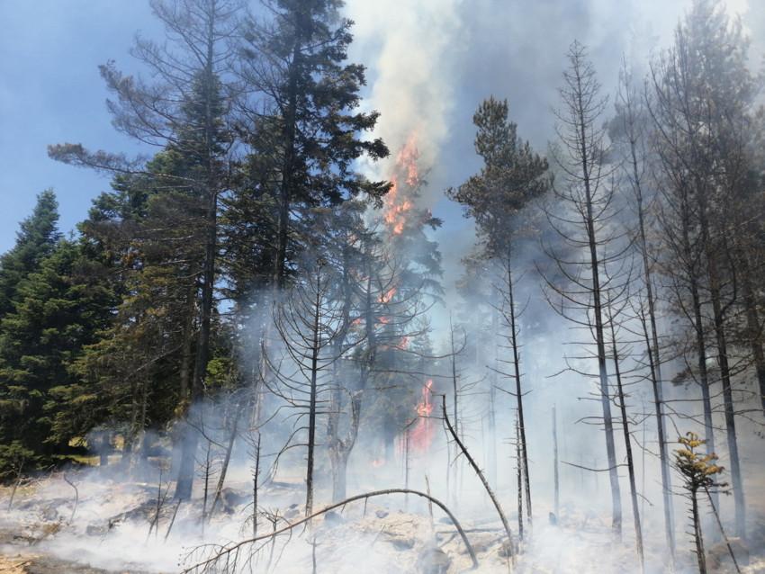 Türkiye'nin dört bir yanında yangın çıktı! İşte dakika dakika yaşananlar - Resim : 20