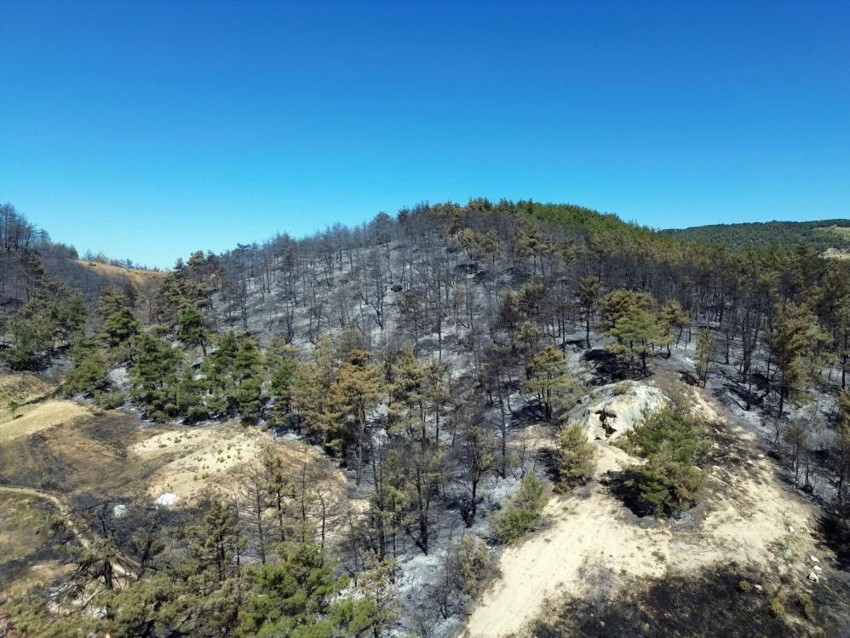Türkiye'nin dört bir yanında yangın çıktı! İşte dakika dakika yaşananlar - Resim : 27