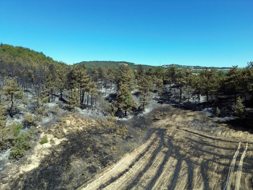 Türkiye'nin dört bir yanında yangın çıktı! İşte dakika dakika yaşananlar - Resim : 29