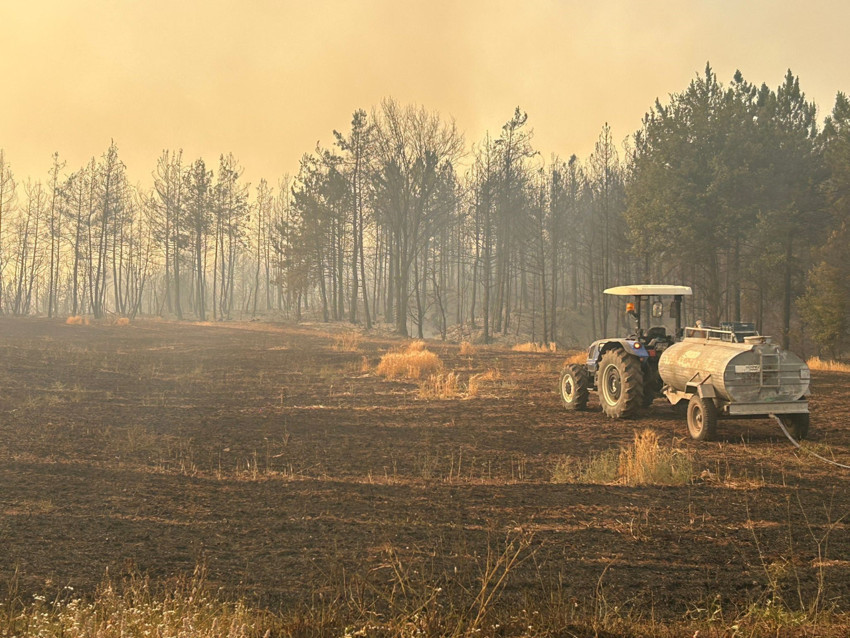 Türkiye'nin dört bir yanında yangın çıktı! İşte dakika dakika yaşananlar - Resim : 9