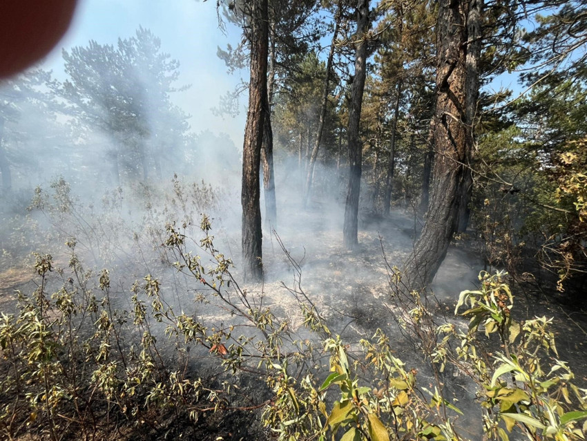 Türkiye'nin dört bir yanında yangın çıktı! İşte dakika dakika yaşananlar - Resim : 7