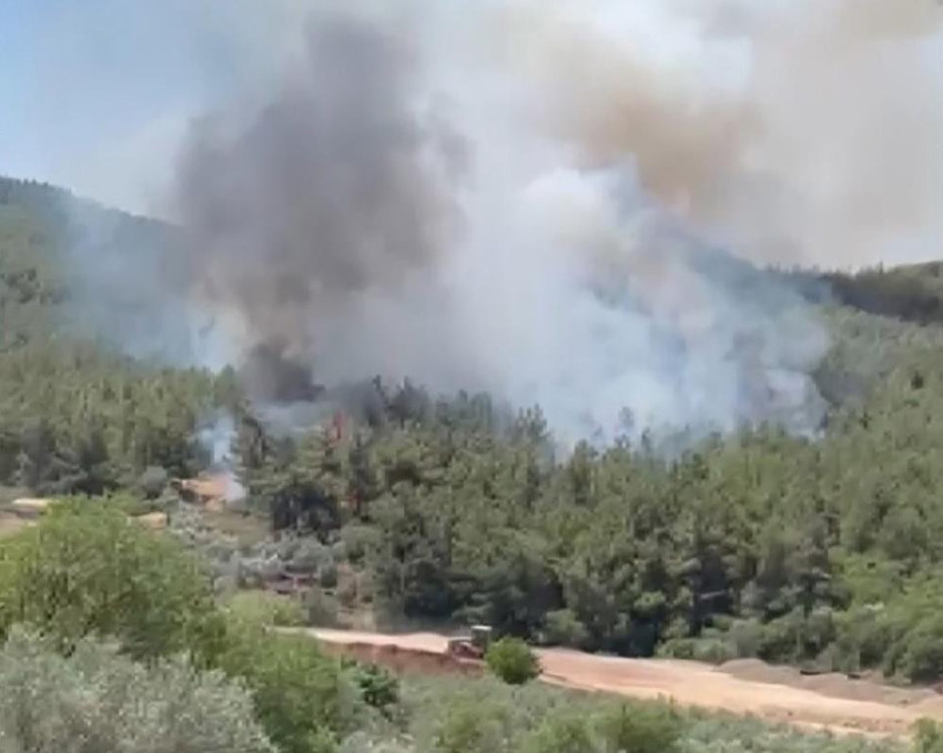 Türkiye'nin dört bir yanında yangın çıktı! İşte dakika dakika yaşananlar - Resim : 33
