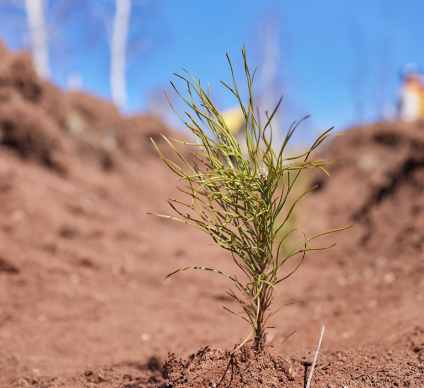 Uludağ elektrik dijitalleşme çalışmalarıyla doğaya katkı sağlıyor - Resim : 1